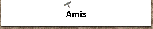  Amis 