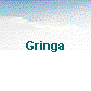  Gringa 