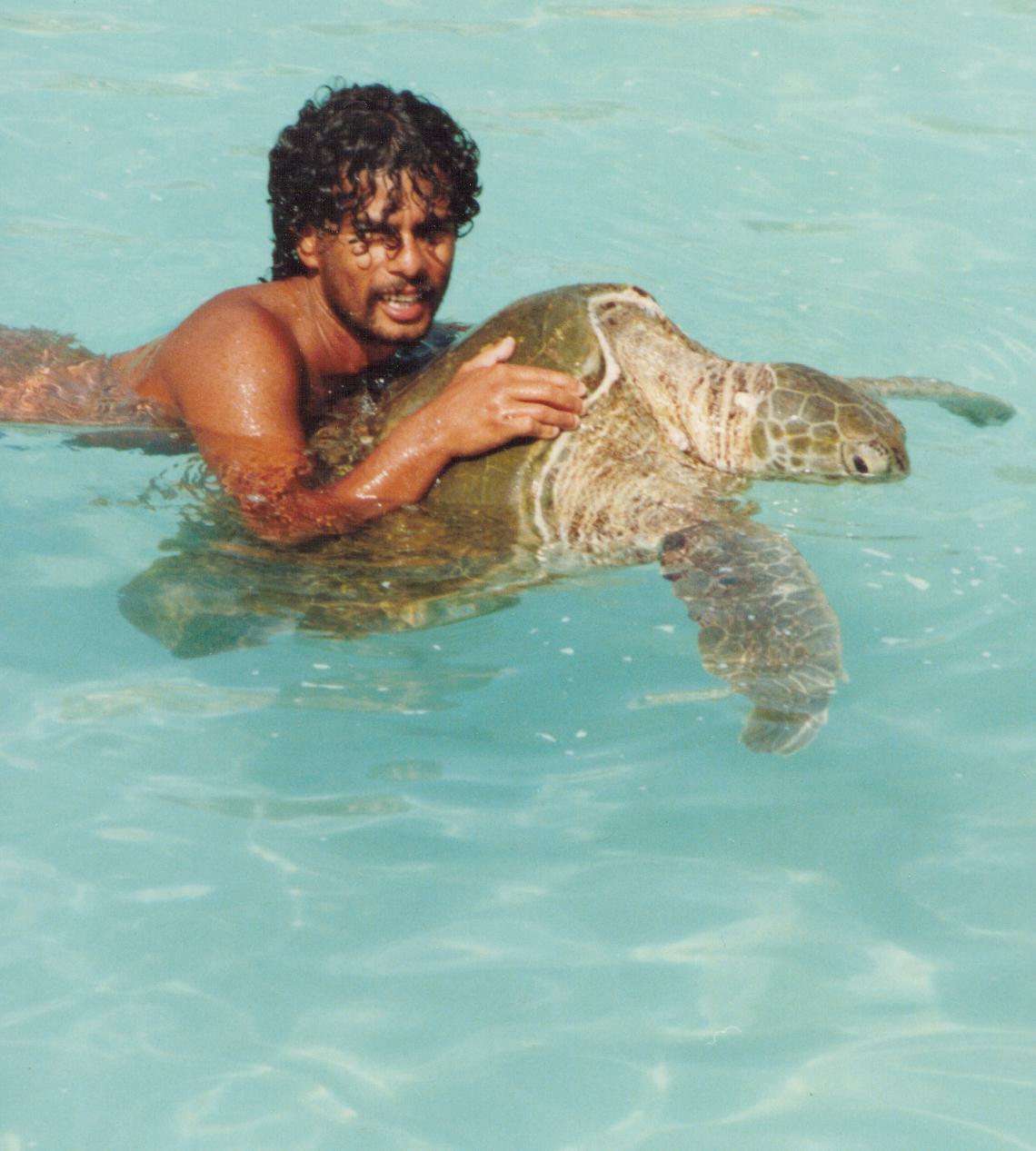 Yucatan-Tortuga-88-1